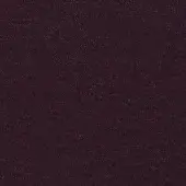 CA1610-081 ASCENDENT